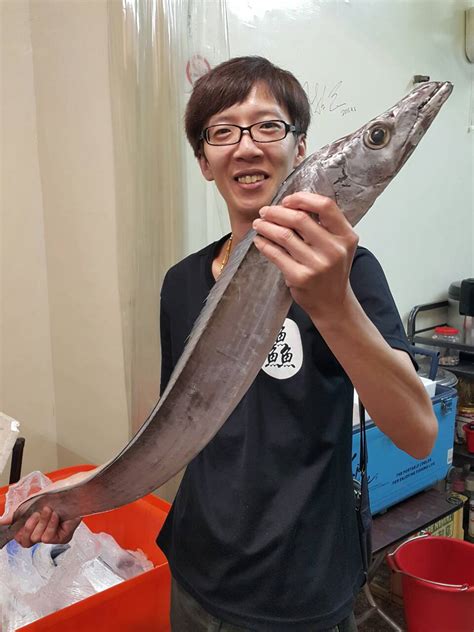 白虎魚